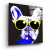 Cool Dog Glass Wall Art || Designers Collection by Insigneart USA