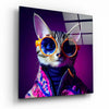 Curious Cat Glass Wall Art || Designers Collection by Insigneart USA