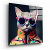 The Coolest Cat Glass Wall Art || Designer Collection by Insigneart USA