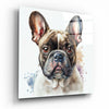 Cute Dog Glass Wall Art || Designers Collection by Insigneart USA