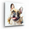 Cute Dog Glass Wall Art || Designers Collection by Insigneart USA