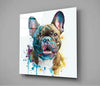 Cute Dog Glass Wall Art || Designers Collection by Insigneart USA