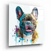 Cute Dog Glass Wall Art || Designers Collection by Insigneart USA
