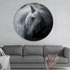 Horse Glass Wall Art by Insigneart USA