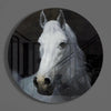 Horse Glass Wall Art by Insigneart USA