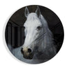 Horse Glass Wall Art by Insigneart USA