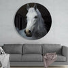 Horse Glass Wall Art by Insigneart USA