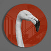 Flamingo Glass Wall Art by Insigneart USA