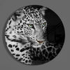 Leopard Glass Wall Art by Insigneart USA