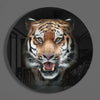 Tiger Glass Wall Art by Insigneart USA