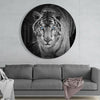Tiger Glass Wall Art by Insigneart USA
