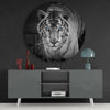Tiger Glass Wall Art by Insigneart USA