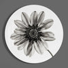 Flower Glass Wall Art by Insigneart USA