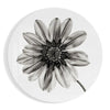 Flower Glass Wall Art by Insigneart USA