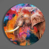 Elephant Sash Glass Wall Art by Insigneart USA