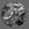 Elephant Glass Wall Art by Insigneart USA