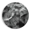 Elephant Glass Wall Art by Insigneart USA