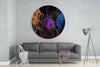 Color Explosion Glass Wall Art by Insigneart USA