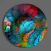 Color Explosion Glass Wall Art by Insigneart USA