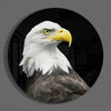 Eagle Glass Wall Art by Insigneart USA