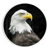 Eagle Glass Wall Art by Insigneart USA
