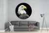 Eagle Glass Wall Art by Insigneart USA