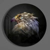 Falcon Glass Wall Art by Insigneart USA