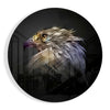 Falcon Glass Wall Art by Insigneart USA