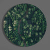 Green Forest Glass Wall Art by Insigneart USA