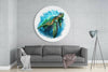 Caretta Caretta Glass Wall Art by Insigneart USA