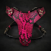 The ''Rock Python'' harness Small to Medium Size by Bestia Dog Gear