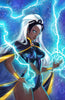 Storm #1 Unknown Comics Sabine Rich Exclusive Virgin Var (05/24/2023) by Unknown Comic Books