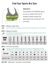 Women's Sports Bra