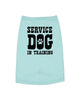 Service Dog in Training Dog Shirt by Anchored Grace Boutique