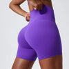 Super Soft Fabric Yoga Gym Shorts High Waist Sports Leggings Workout Cycling