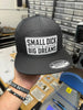 Small Dick Big Dreams 2026 | Snapback Hat by Luckless Outfitters