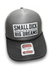 Small Dick Big Dreams 2026 | Snapback Hat by Luckless Outfitters