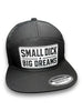 Small Dick Big Dreams 2026 | Snapback Hat by Luckless Outfitters