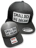 Small Dick Big Dreams 2026 | Snapback Hat by Luckless Outfitters