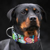 The “Ghostbuster” collar -LIMITED by Bestia Dog Gear