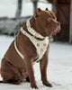 The "Maximus" harness White by Bestia Dog Gear