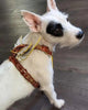 The "Hermes" leather harness - Small to Medium Size by Bestia Dog Gear