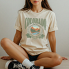 Colorado National Park T Shirt by Hey Jude Graphic Tees
