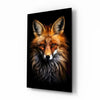 Eyes of the Fox Glass Wall Art || Designer Collection by Insigneart USA