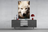The White Wolf's Gaze Glass Wall Art || Designer Collection by Insigneart USA