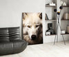 The White Wolf's Gaze Glass Wall Art || Designer Collection by Insigneart USA