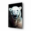 Polar Bear's Gaze Glass Wall Art || Designer Collection by Insigneart USA