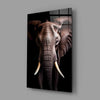 The Wise Look of the Elephant Glass Wall Art || Designer Collection by Insigneart USA