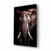 The Wise Look of the Elephant Glass Wall Art || Designer Collection by Insigneart USA