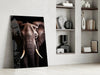 The Wise Look of the Elephant Glass Wall Art || Designer Collection by Insigneart USA